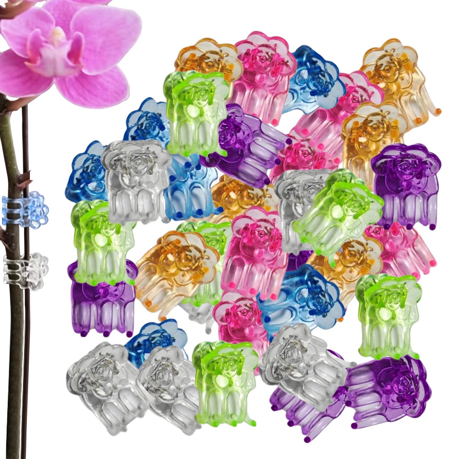 Terracotta Pot - Orchid Clips 60 Pieces Butterfly Flower