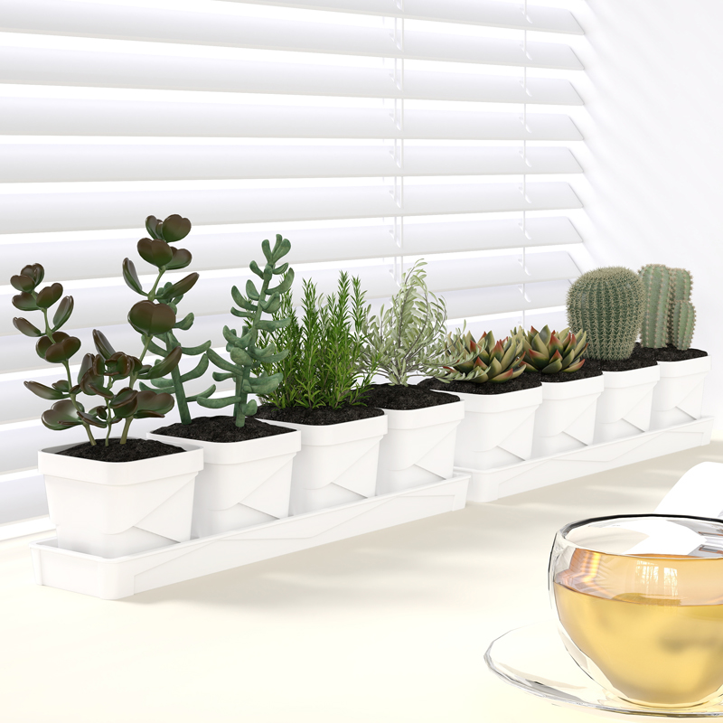 Indoor Plants - Nordic Minimalist Succulent Pot With Tray