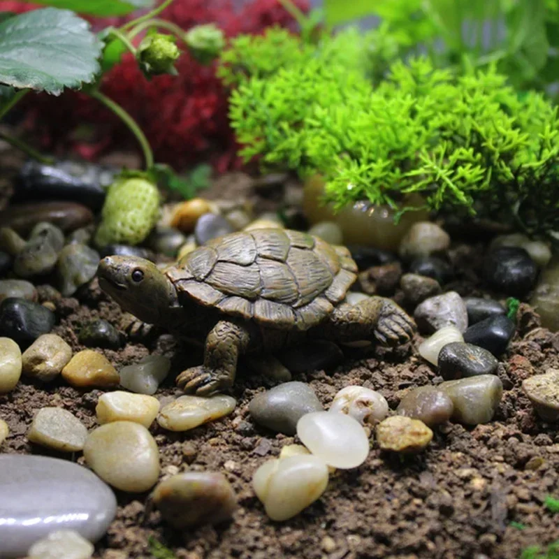 Resin Simulation Small Turtle  - огляд і ціна Succulent Set