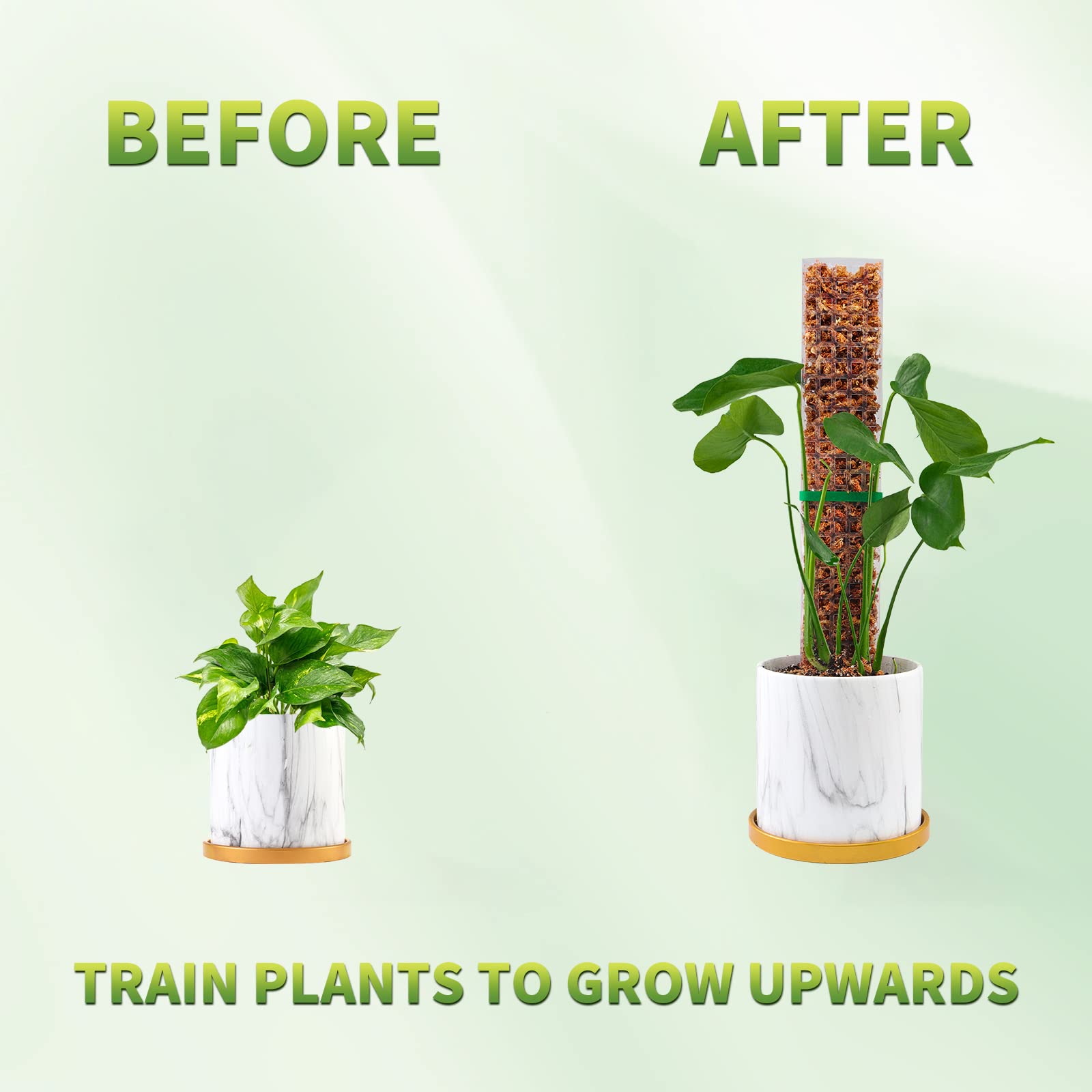 Moss Poles Plants Plant Suppor - огляд і ціна Plant Support Stake
