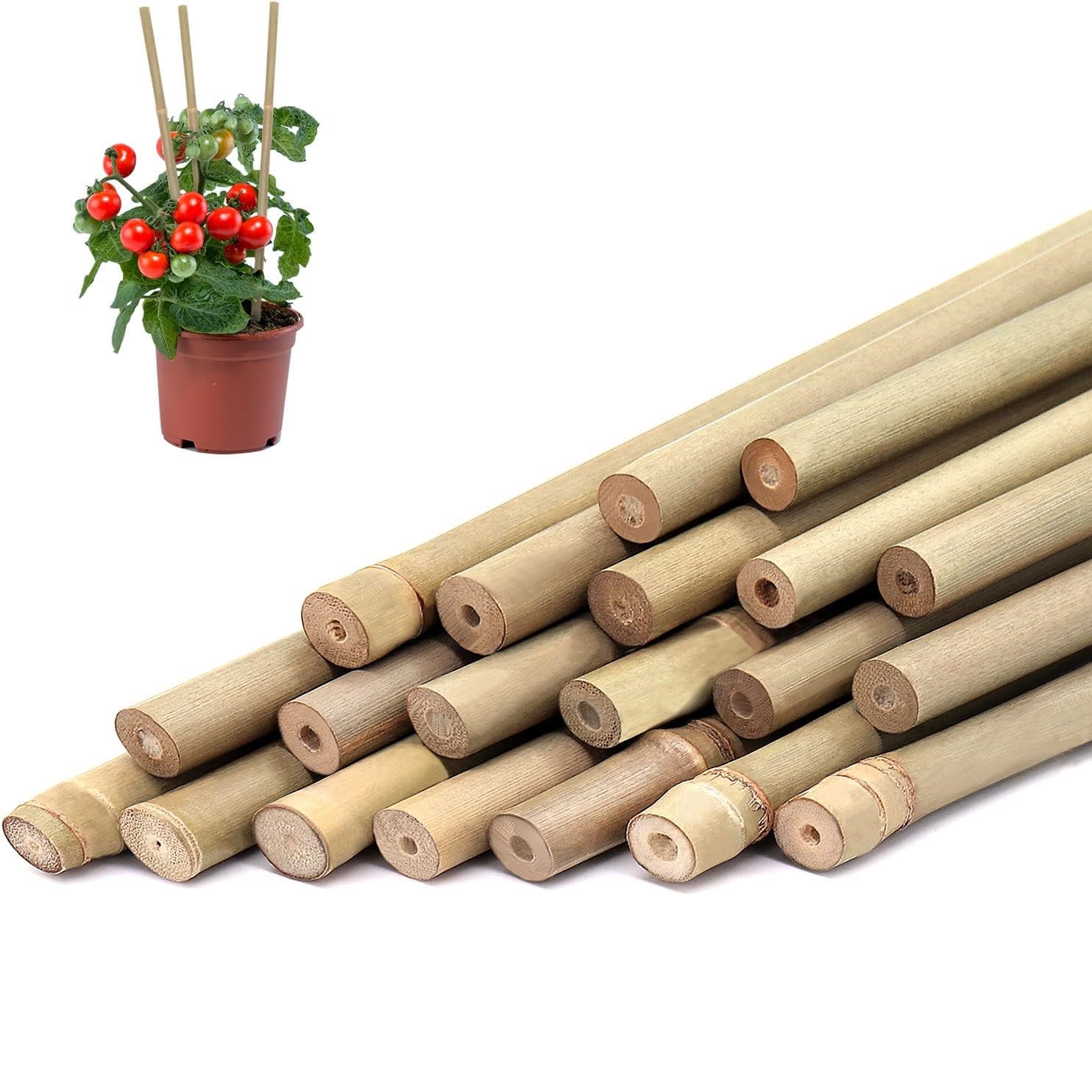 10pcs,Bamboo Plant Stakes For  - огляд і ціна Plant Support Stake