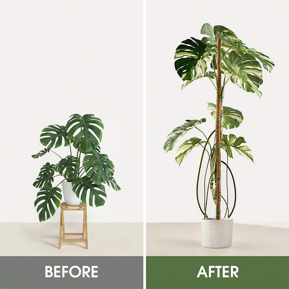 Monstera Plant Moss Pole Suppo - огляд і ціна Plant Support Stake