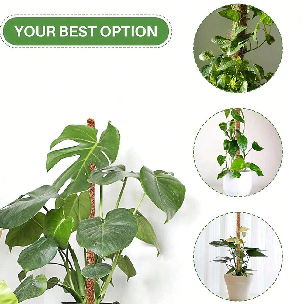 Monstera Plant Moss Pole Suppo - огляд і ціна Plant Support Stake