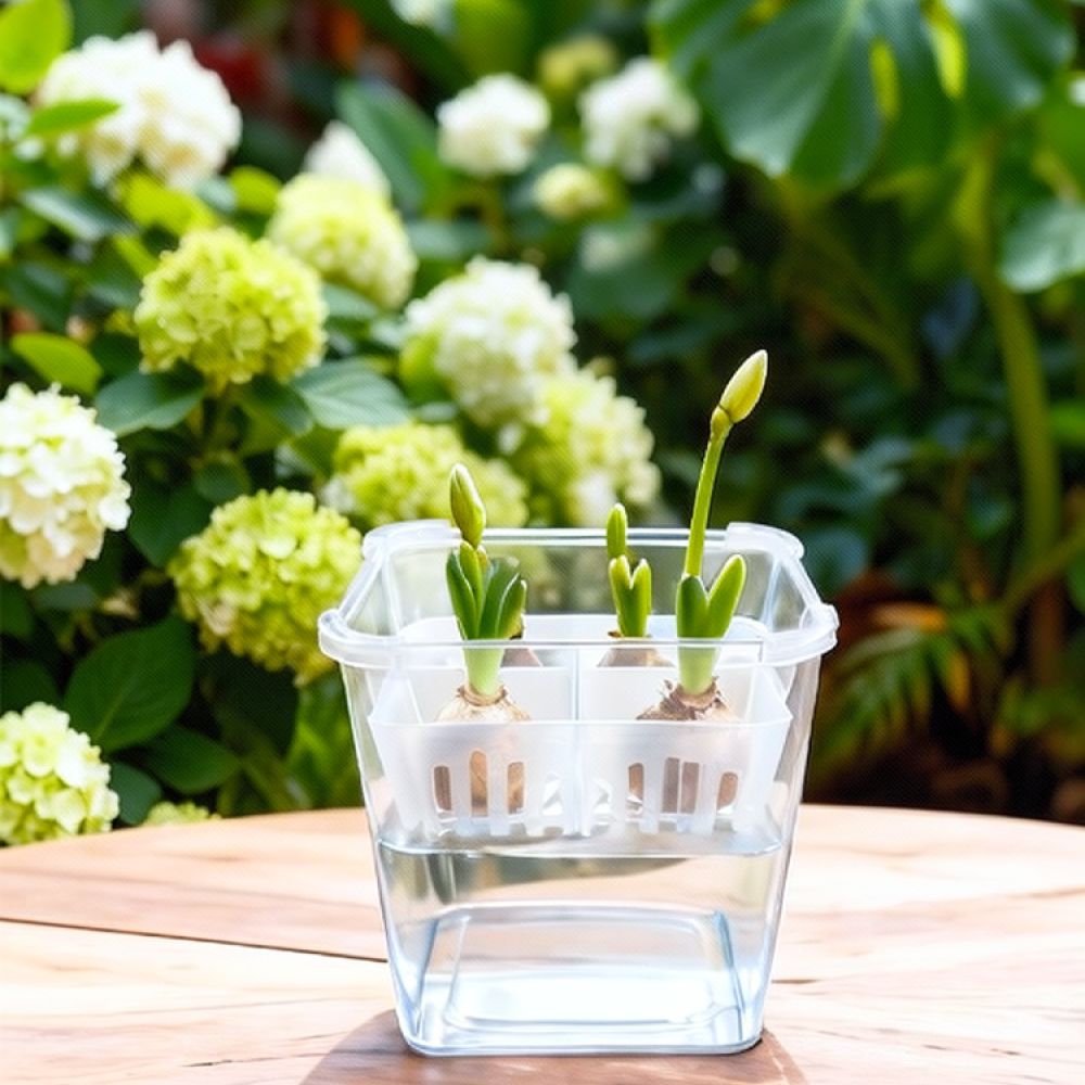 Hydroponic Vase For Tulip Lily - огляд і ціна Plant Pot