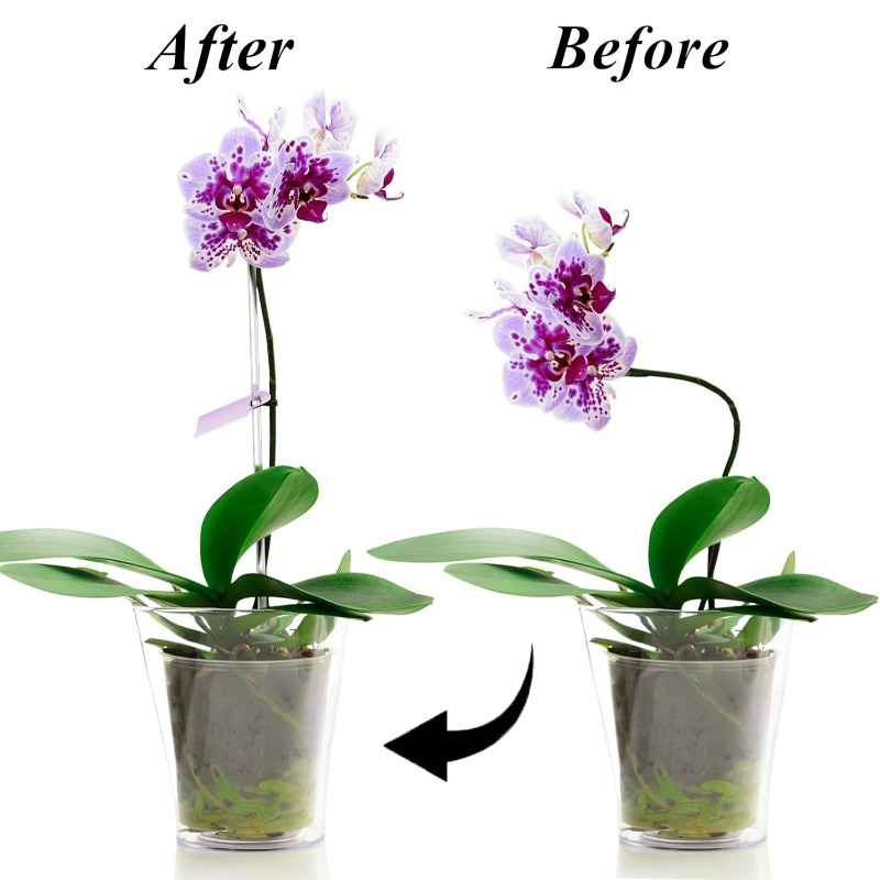 Reusable Clear Flower Support  - огляд і ціна Terracotta Pot