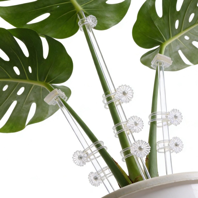 Reusable Clear Flower Support  - огляд і ціна Terracotta Pot