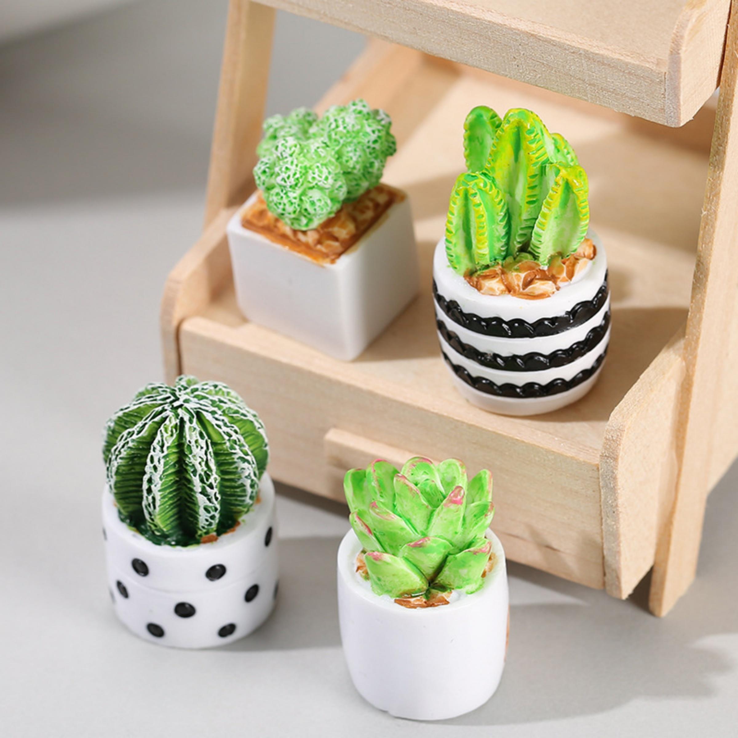 4-Piece Set of Cactus Succulen - огляд і ціна Succulent Set