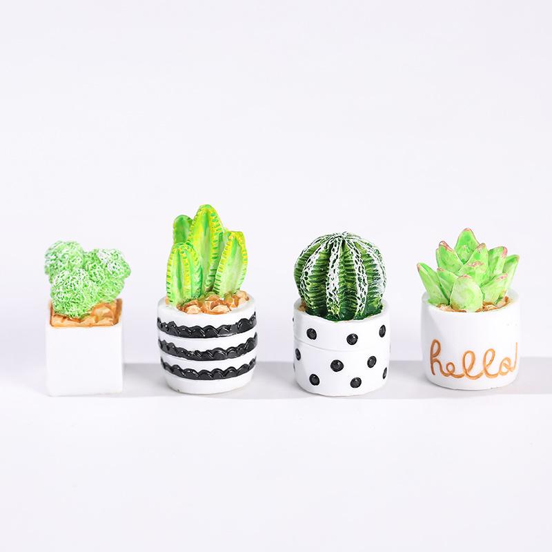 4-Piece Set of Cactus Succulen - огляд і ціна Succulent Set