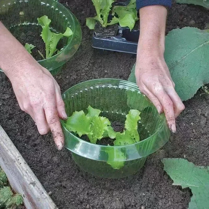 Plants Slug Protection Rings V - огляд і ціна Terracotta Pot