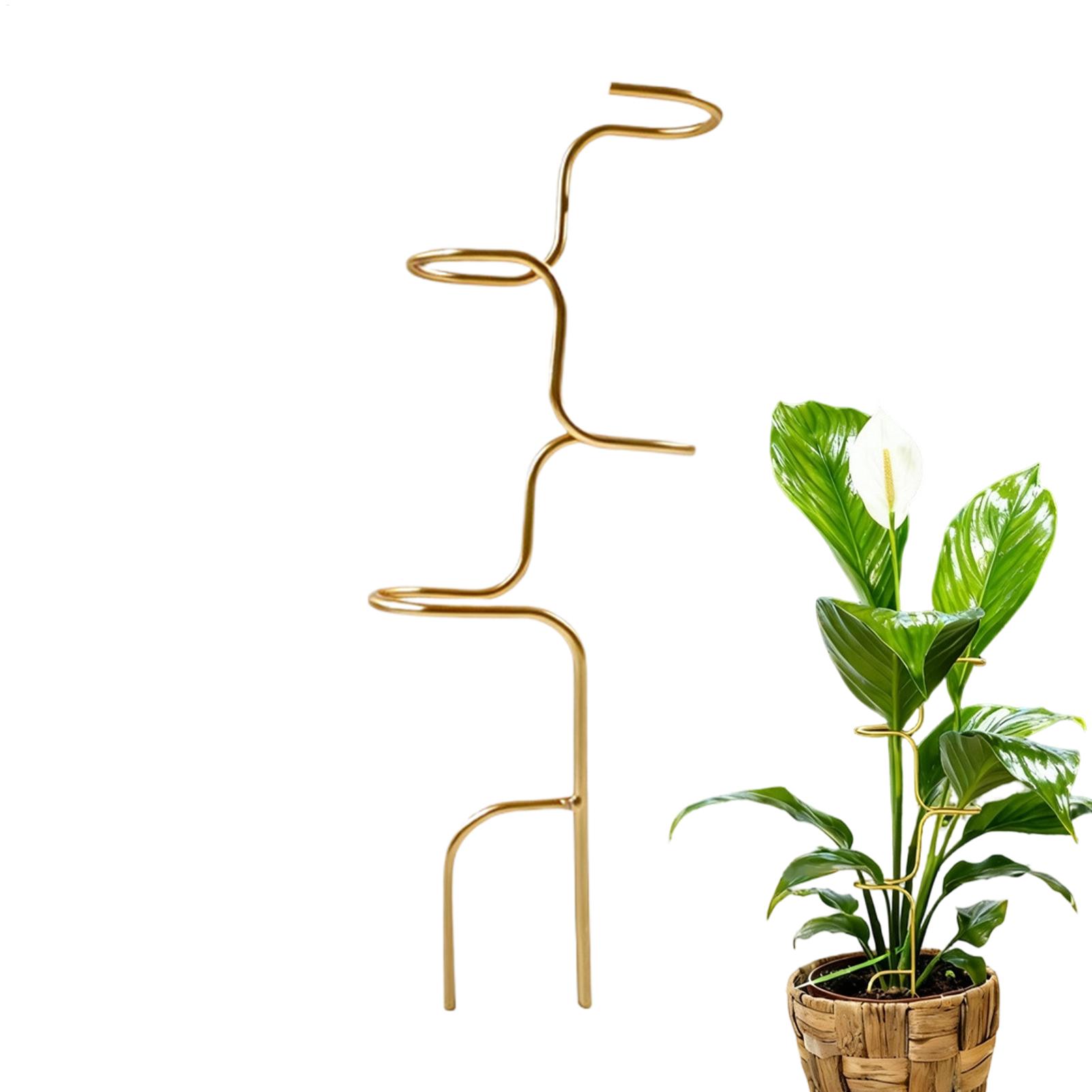 Garden Plant stem fixing suppo - огляд і ціна Plant Support Stake